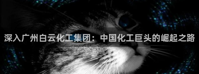 球盟会体育app官方网站
