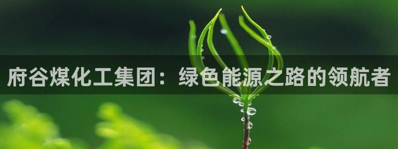 球盟会中国官方网站