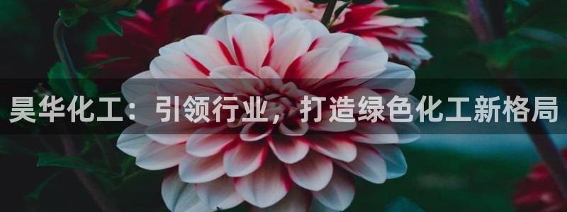 球盟会最新地址备用