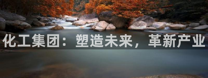 球盟会用的客服聊天是哪个软件