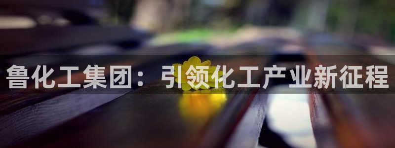 球盟会黑款吗还是白款