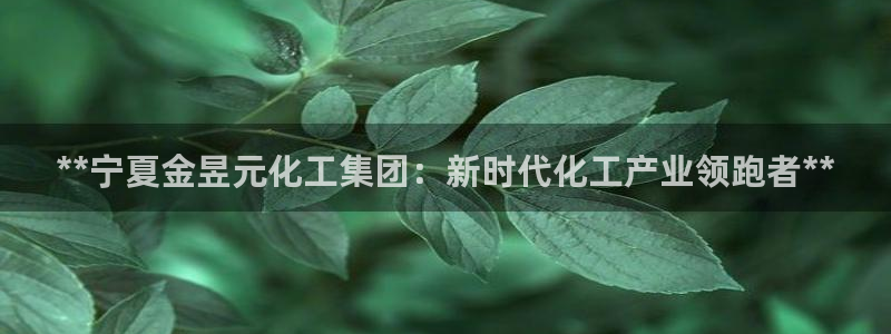 球盟会有限公司怎么样