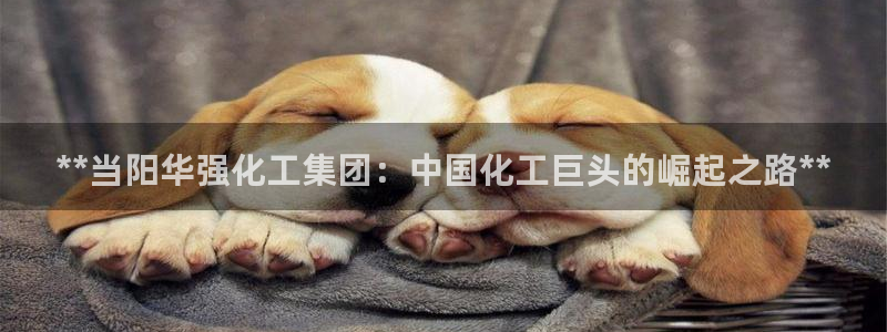 球盟会app网址多少