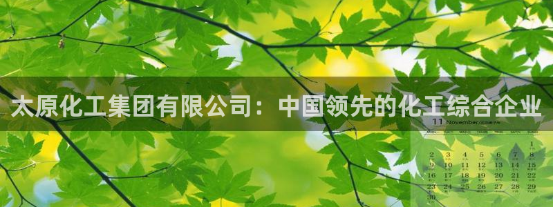 球盟会app最新地址在哪看：太原化工集团有限公司：中国领先的