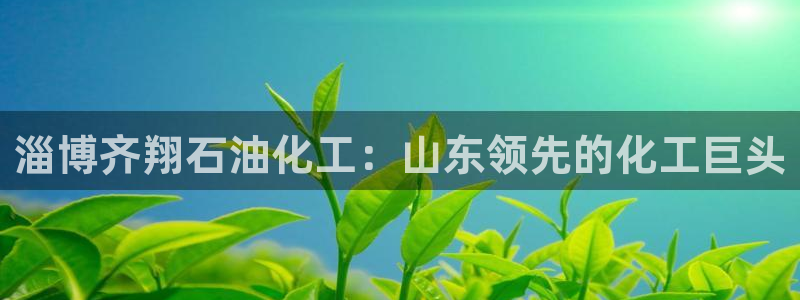 球盟会入口：淄博齐翔石油化工：山东领先的化工巨头