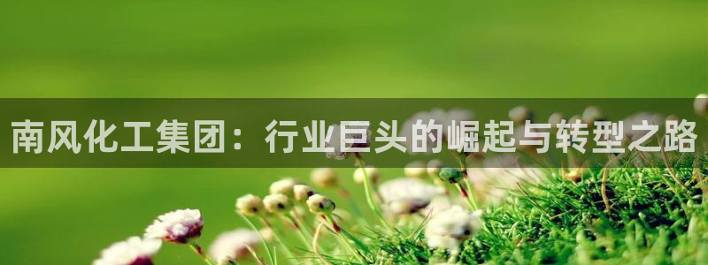 球盟会体验金