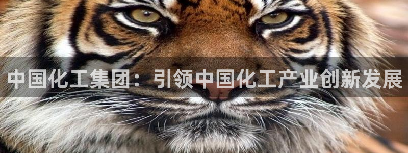 球盟会电子好下吗