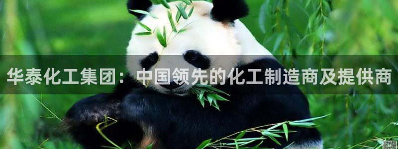 球盟会官方app首页入口：华泰化工集团：中国领先的化工制造商