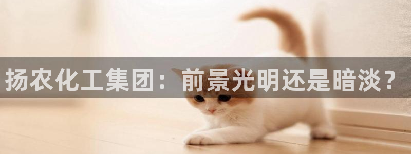 球盟会APP最新地址
