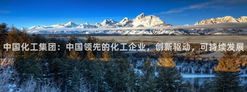 球盟会在线官网