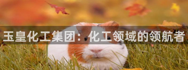球盟会和中欧合作吗