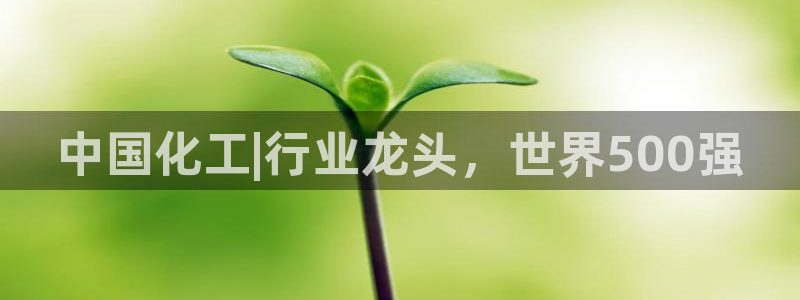 球盟会登陆中心