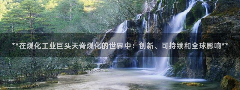 球盟会网址多少：**在煤化工业巨头天脊煤化的世界中：创新、可