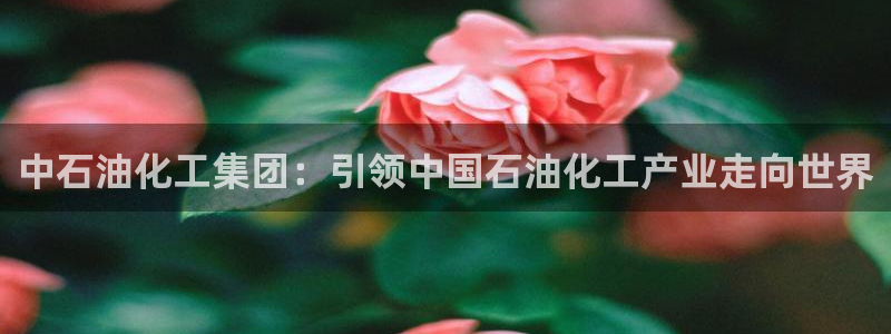 球盟会官方登录平台入口：中石油化工集团：引领中国石油化工产业