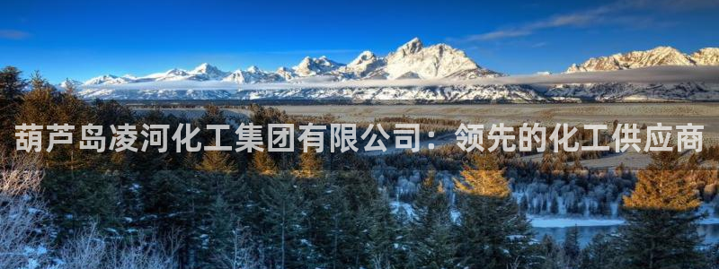 球盟会吧：葫芦岛凌河化工集团有限公司：领先的化工供应商
