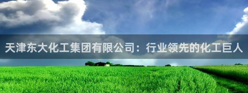 球盟会在线登入：天津东大化工集团有限公司：行业领先的化工巨人