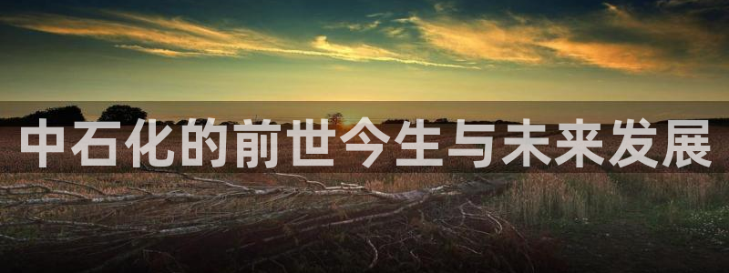 球盟会在线官网