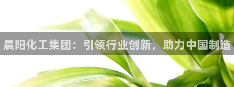 球盟会下款快吗