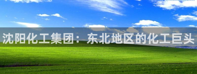 球盟会app最新地址在哪里