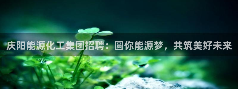 球盟会用的客服聊天是哪个软件