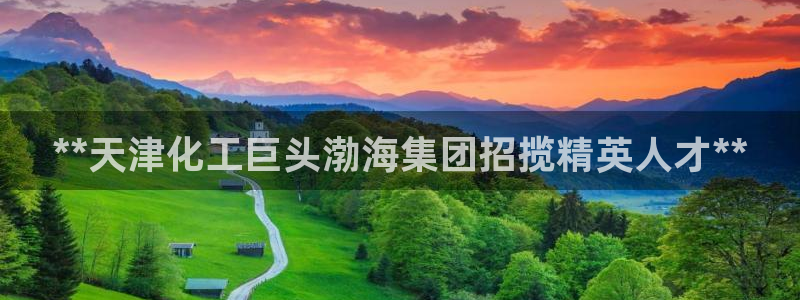 球盟会官方网址入口：**天津化工巨头渤海集团招揽精英人才**