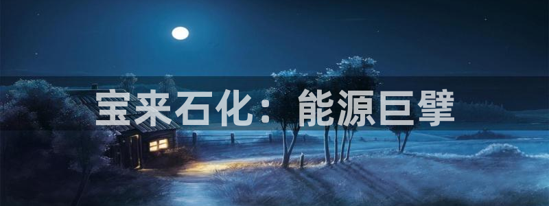 球盟会娱乐平台：宝来石化：能源巨擘