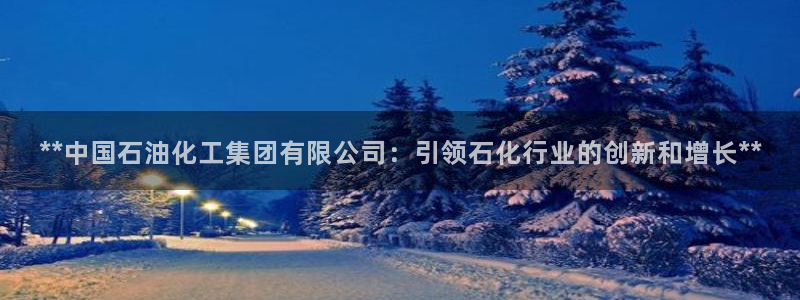 球盟会qmh网址：**中国石油化工集团有限公司：引领石化行业