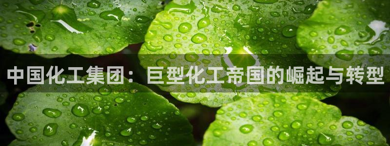 球盟会里面有打牌的嘛
