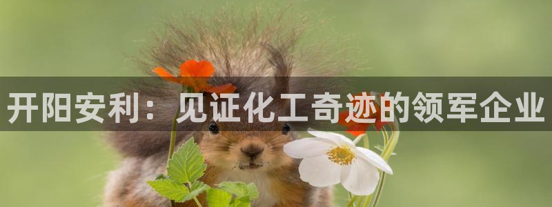 球盟会有没有黑单的球员