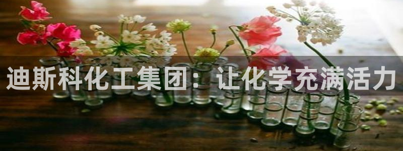 球盟会登录平台