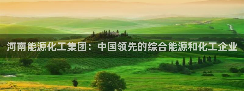 球盟会头号玩家是谁：河南能源化工集团：中国领先的综合能源和化