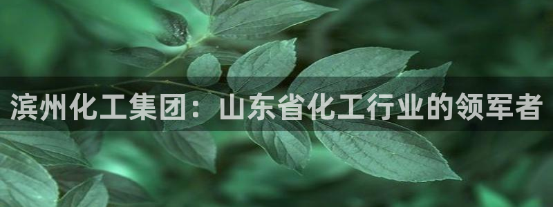 球盟会官方网页登录