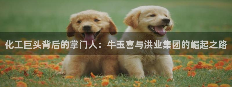 球盟会平台会黑单吗