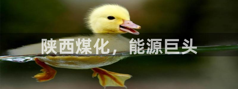 球盟会登录平台入口：陕西煤化，能源巨头
