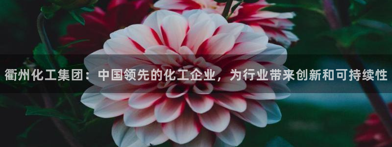 球盟会电子游戏平台：衢州化工集团：中国领先的化工企业，为行业