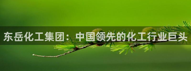 球盟会最新活动