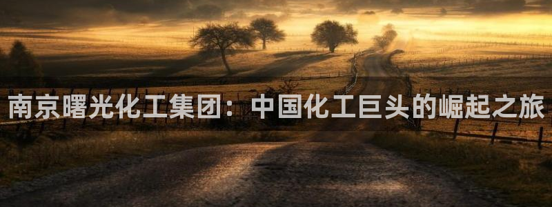 球盟会和中欧合作吗