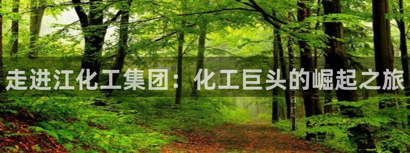 球盟会黑款吗