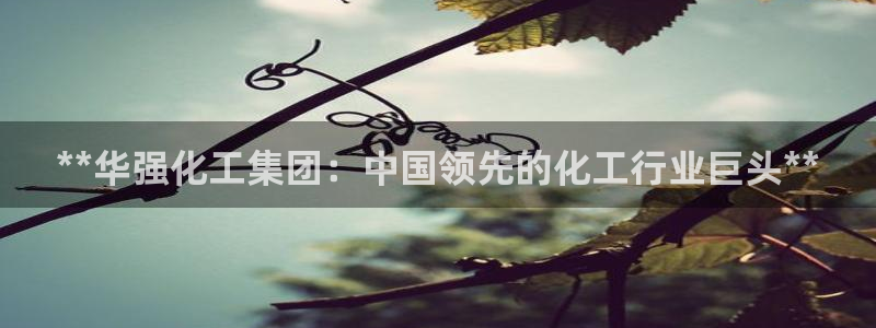 球盟会优惠码：**华强化工集团：中国领先的化工行业巨头**