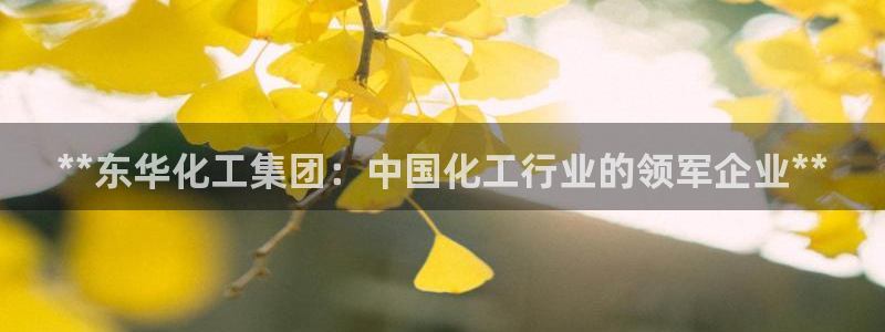 球盟会下款快吗
