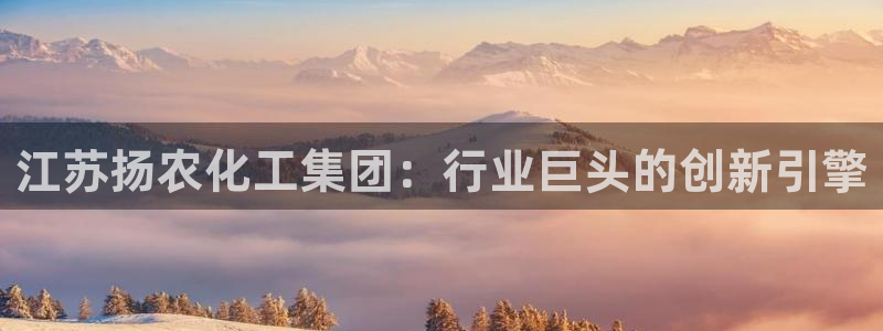 球盟会有限公司怎么样