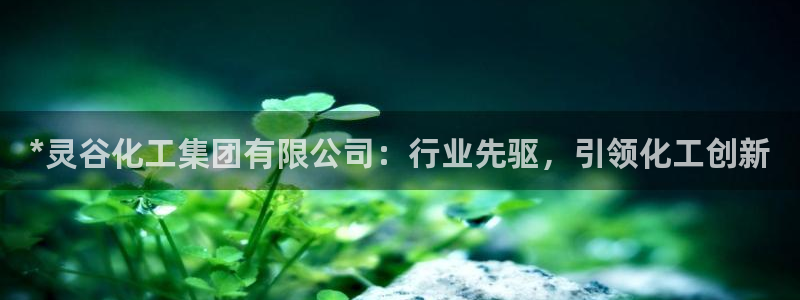 球盟会乐虎：*灵谷化工集团有限公司：行业先驱，引领化工创新
