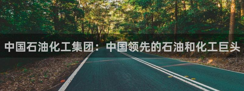 球盟会qmh - 球盟会官方网站：中国石油化工集团：中国领先
