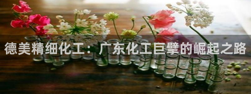 球盟会黑