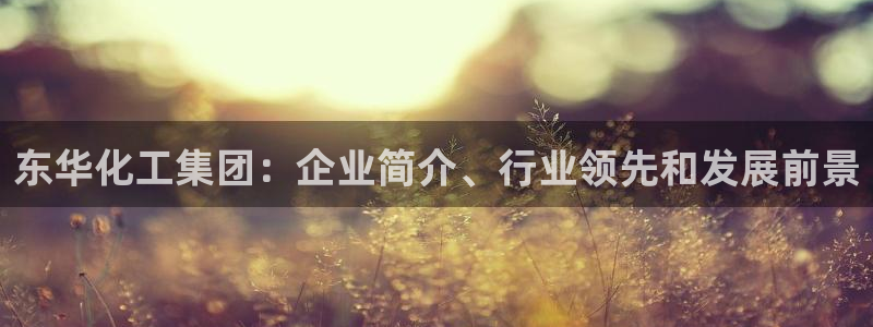 球盟会app安装