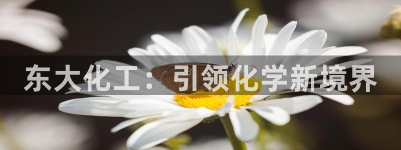 球盟会登陆入口：东大化工：引领化学新境界