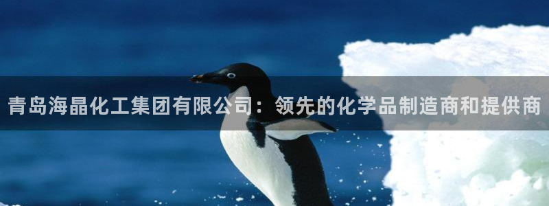 球盟会有没有黑单的活动：青岛海晶化工集团有限公司：领先的化学