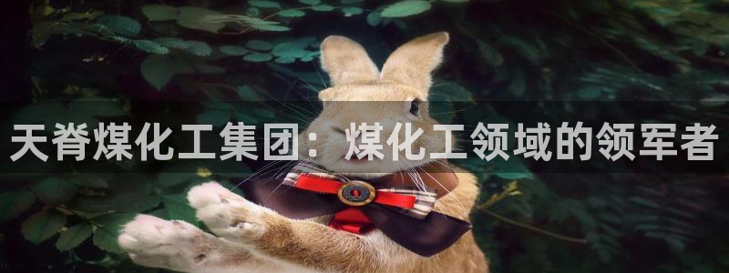 球盟会可以提现么