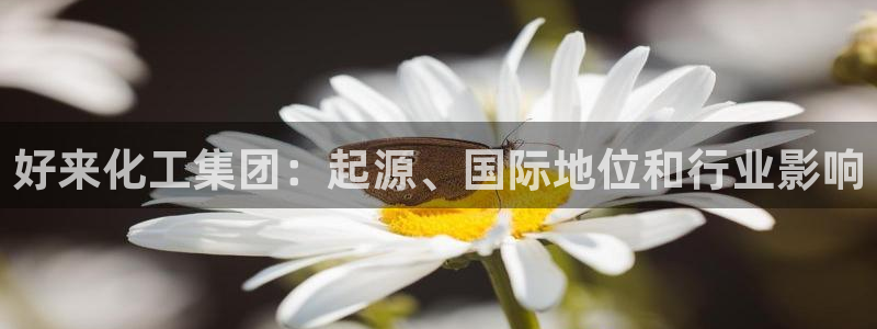 球盟会有限公司怎么样