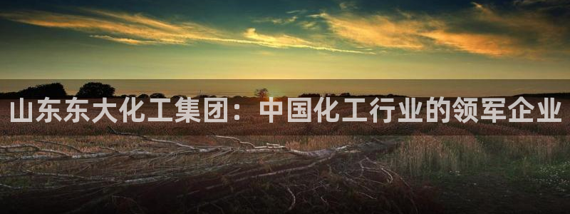 球盟会官网入口：山东东大化工集团：中国化工行业的领军企业